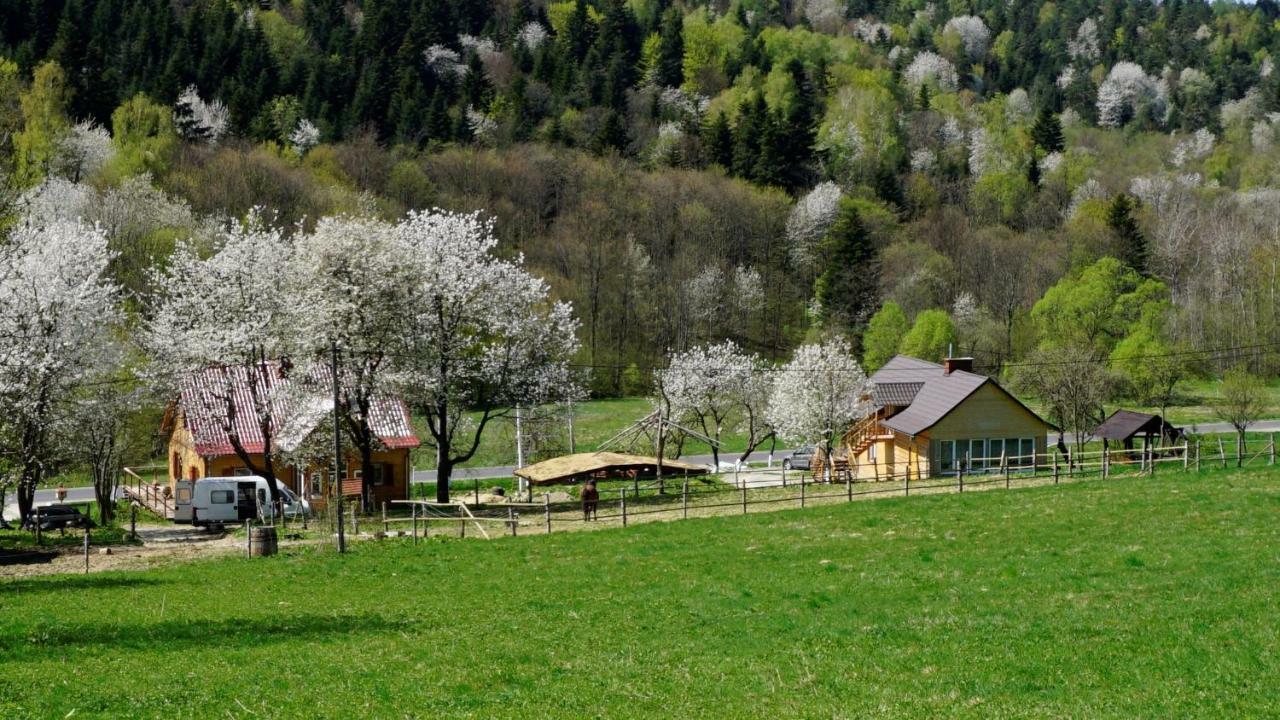 Апартаменти Bieszczadzki Dom Ropienka Екстер'єр фото